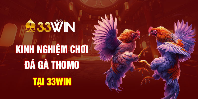 Kinh nghiệm chơi đá gà Thomo tại 33Win