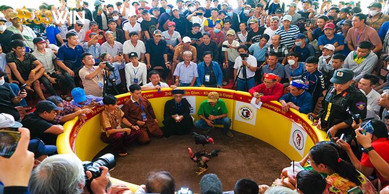 Lễ hội đá gà tại Bình Định thường tổ chức vào các dịp quan trọng như ngày lễ, tết,...